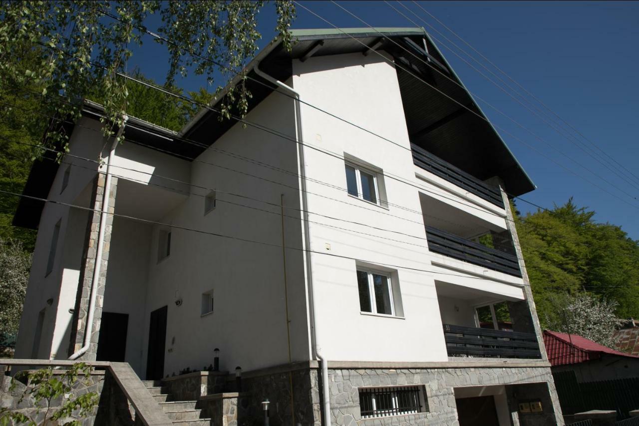 Studio 35 Buşteni Extérieur photo