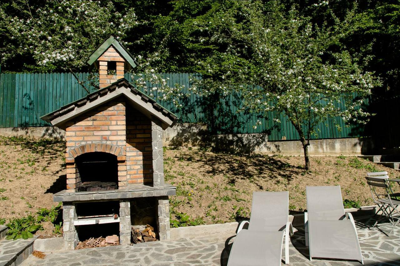 Studio 35 Buşteni Extérieur photo